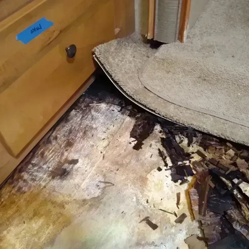 Wood Floor Water Damage in Slidell, LA